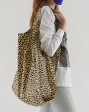 Honey Leopard Big